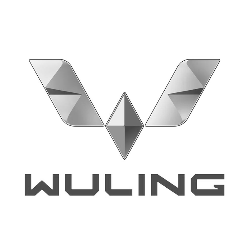 五菱去色